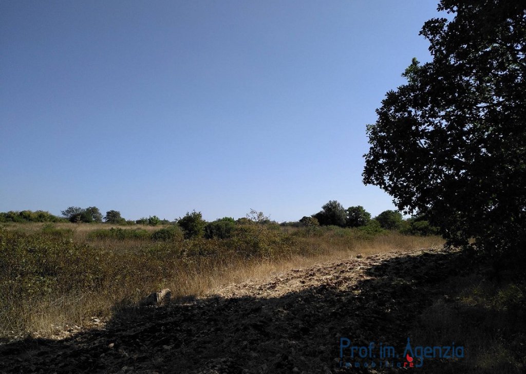 Sale Plots of land Ostuni - Plot of Land Locality Agro di Ostuni