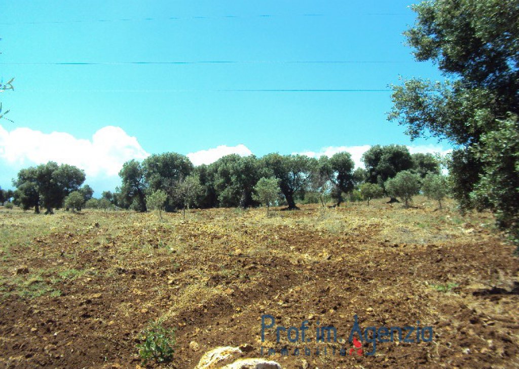 Sale Sea view plots of land Carovigno - Spendid raised plot of land with an excellent sea view Locality Agro di Carovigno