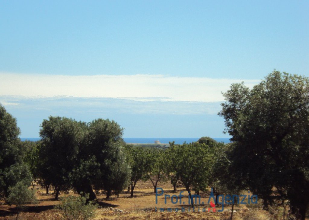 Sale Sea view plots of land Carovigno - Spendid raised plot of land with an excellent sea view Locality Agro di Carovigno