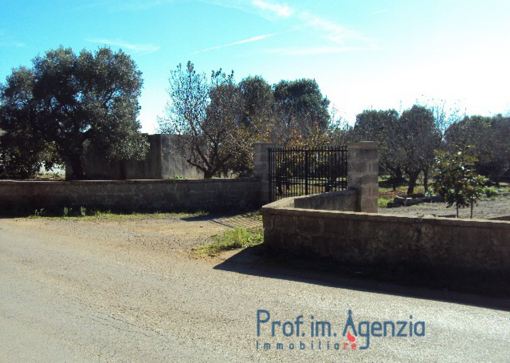 Sale Plots with building permit  Carovigno - Plot of land of centuries old olive grove with approved project Locality Agro di Carovigno