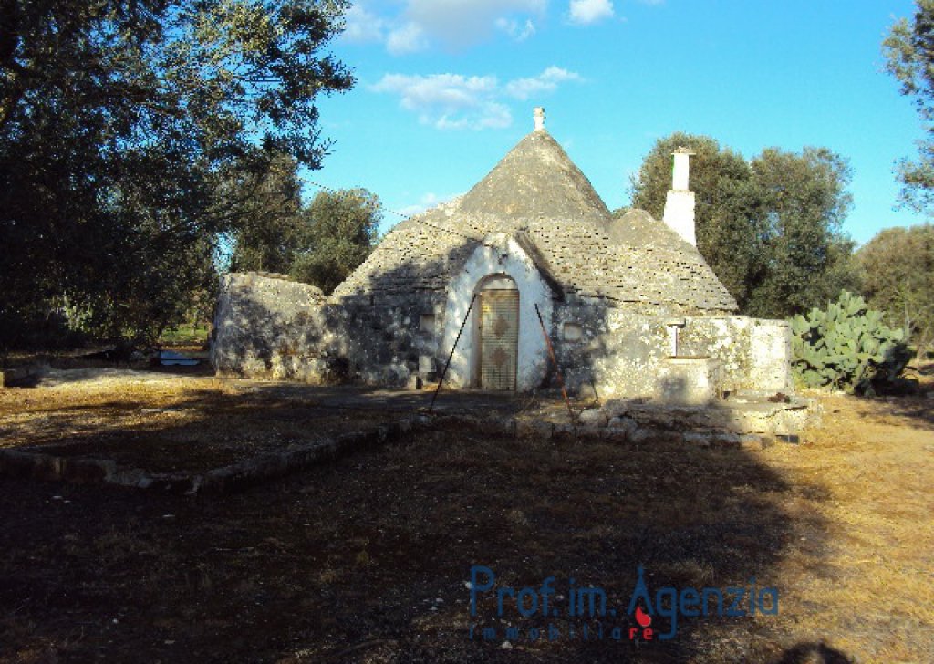 Sale Trulli to be restored/expanded Ceglie Messapica - Beutiful trullo with 3 cones, in excellent structural condition on a magnificent olive grove Locality Agro di Ceglie Messapica