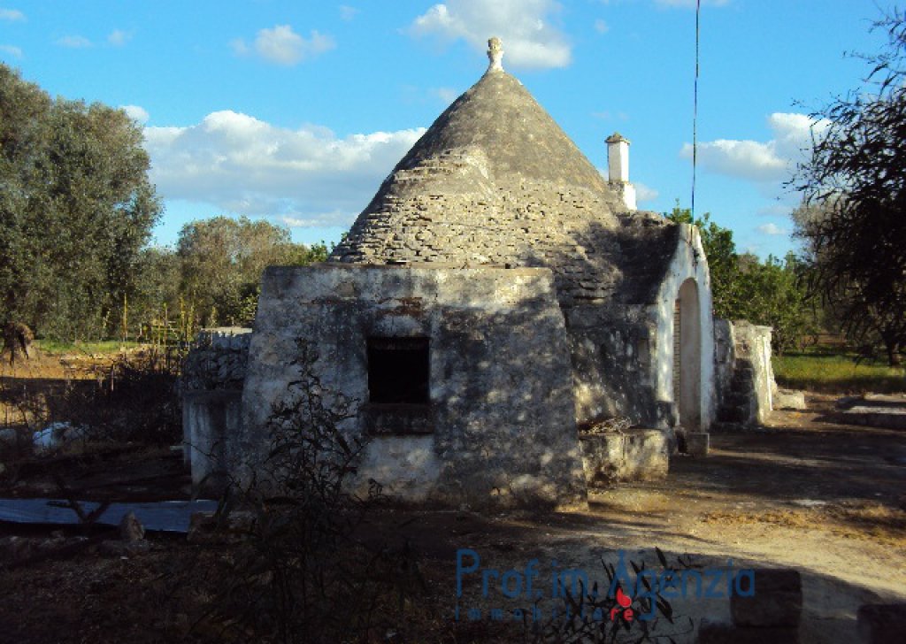 Sale Trulli to be restored/expanded Ceglie Messapica - Beutiful trullo with 3 cones, in excellent structural condition on a magnificent olive grove Locality Agro di Ceglie Messapica