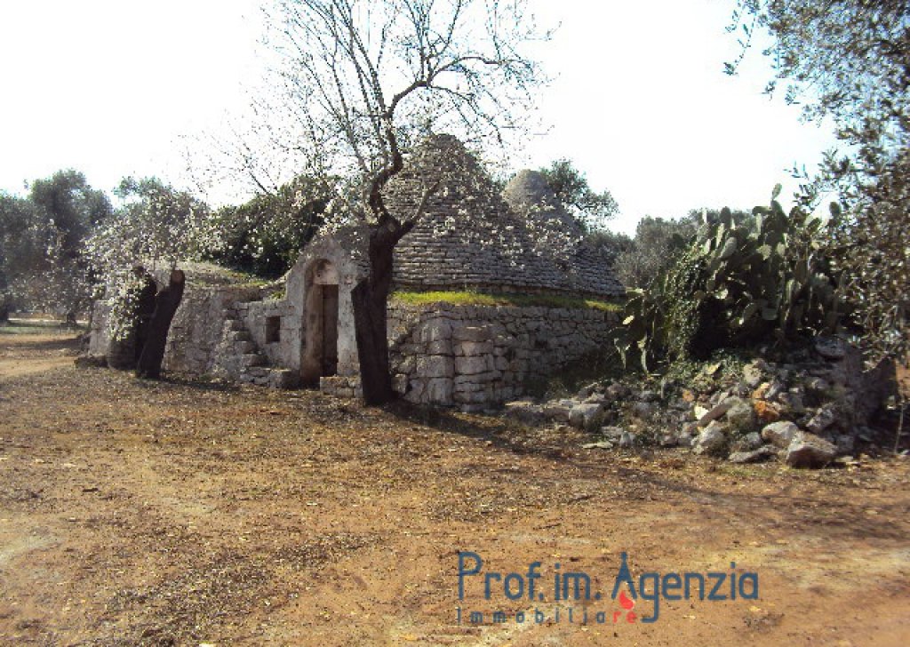 Sale Trulli to be restored/expanded Latiano - Very prety Trullo with 3 cones and lamia on a beautiful olive grove Locality Agro di Latiano