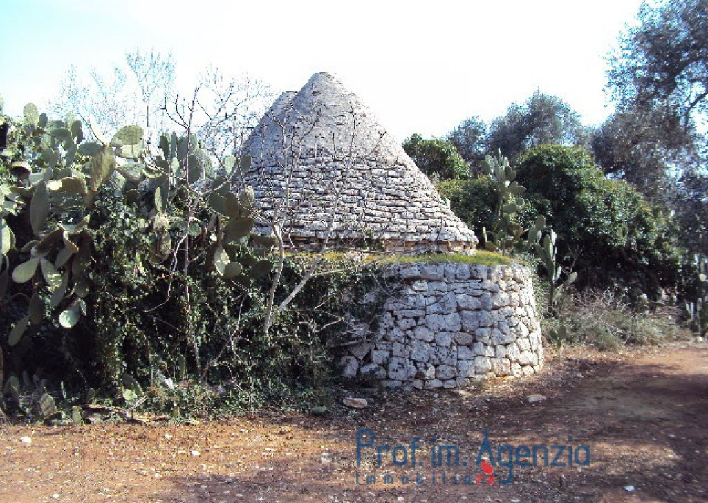 Sale Trulli to be restored/expanded Latiano - Very prety Trullo with 3 cones and lamia on a beautiful olive grove Locality Agro di Latiano
