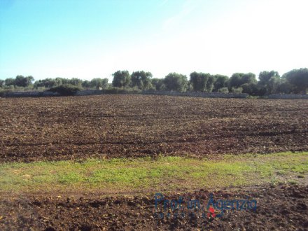 Wide land with sea view at only 2 km to the beach