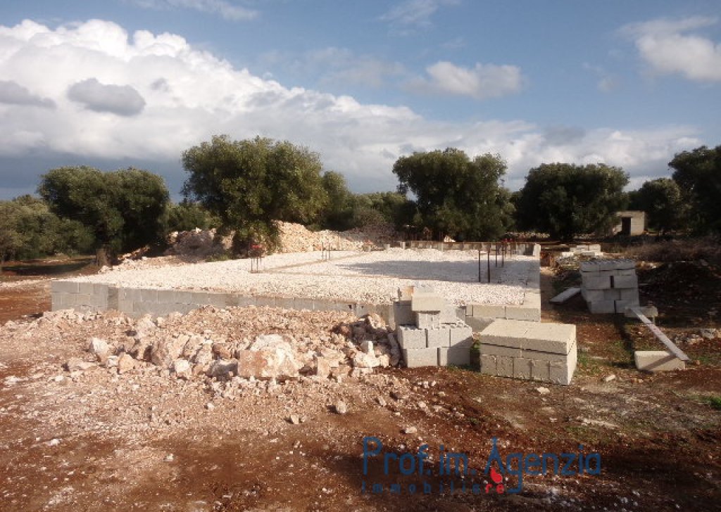 Sale Sea view plots of land Carovigno - Interesting plot of land with sea view and centuries-old olive grove Locality Agro di Carovigno