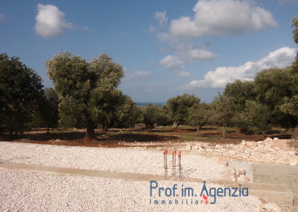 Sale Sea view plots of land Carovigno - Interesting plot of land with sea view and centuries-old olive grove Locality Agro di Carovigno