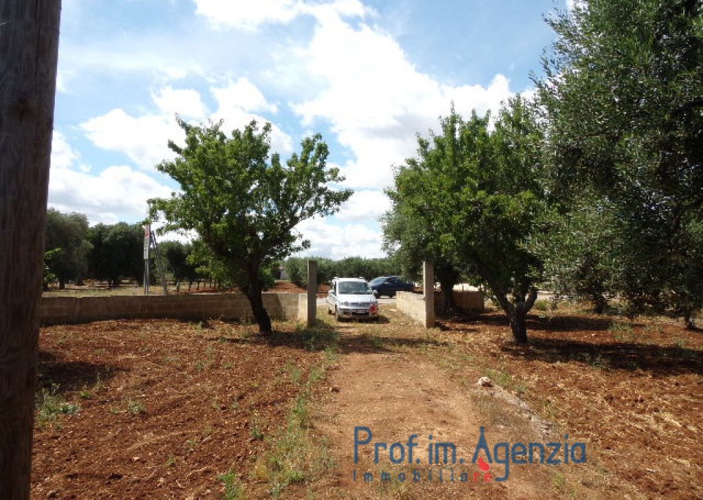 Sale Land plots with centuries-old olive groves Carovigno - Interesting plot of land with olive grove, in a strategic area a few minutes to the sea Locality Agro di Carovigno