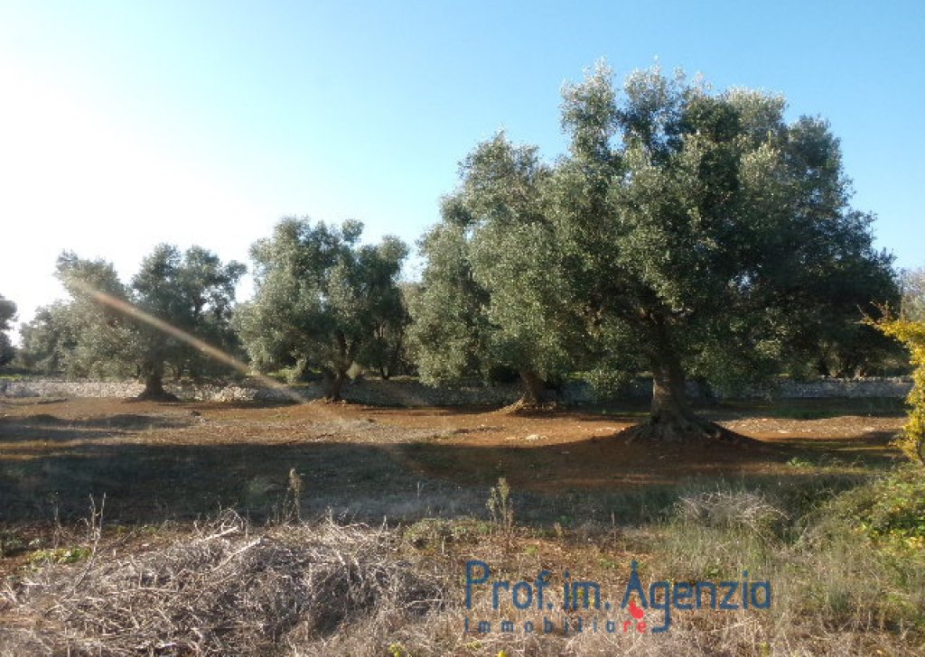 Sale Sea view plots of land Carovigno - Interesting land with sea view very close to the town Locality Agro di Carovigno