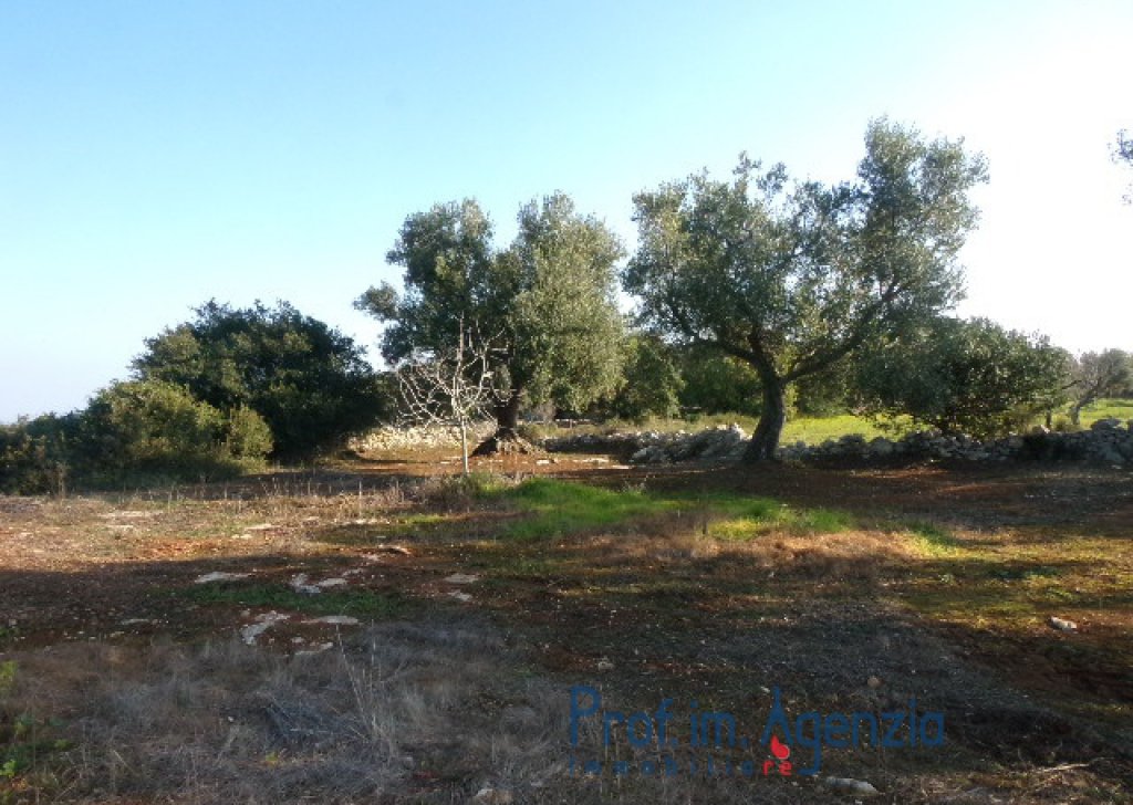 Sale Sea view plots of land Carovigno - Interesting land with sea view very close to the town Locality Agro di Carovigno