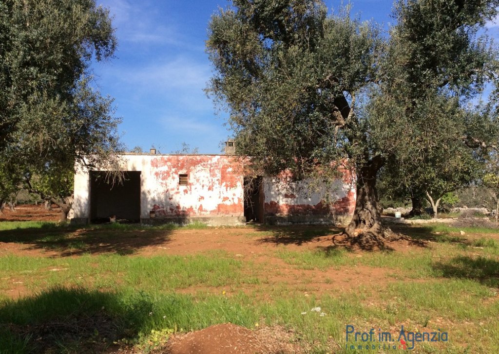 Sale Farm houses S. Vito dei N. - Farmhouse Locality Agro di San Vito dei Normanni