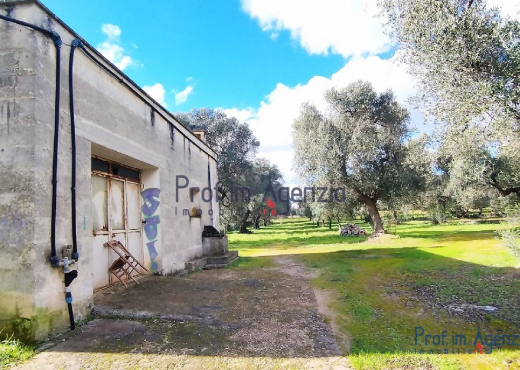 Verkauf Cottages S. Vito dei N. - Lamia Ortschaft Agro di San Vito dei Normanni