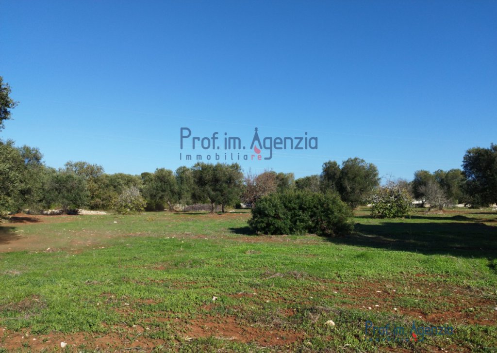 Sale Plots of land Carovigno - Land in the countryside of Carovigno Locality Agro di Carovigno
