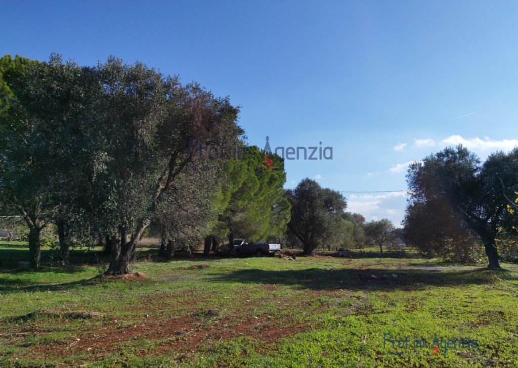 Sale Plots of land Carovigno - Land in the countryside of Carovigno Locality Agro di Carovigno