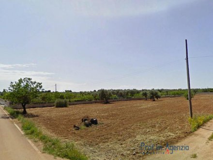 Beautiful plot of land cultivated with olive grove and almond trees