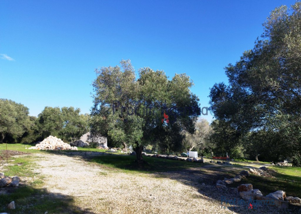 Sale Trulli to be restored/expanded Ostuni - Panoramic trullo in Ostuni Locality Agro di Ostuni