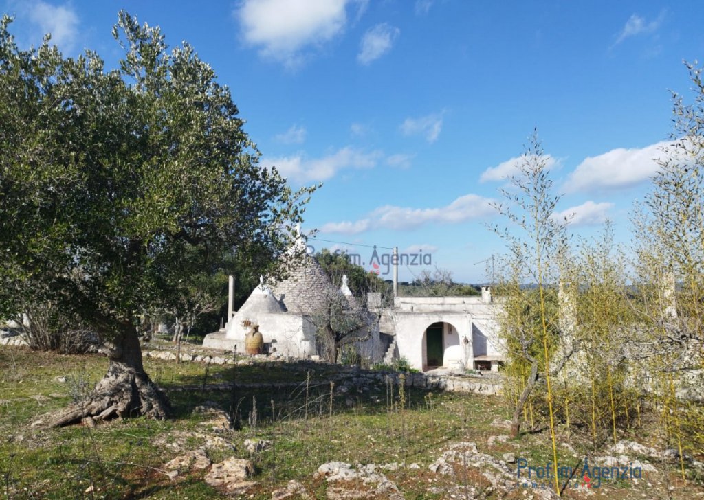 Sale Country houses Ostuni - Villa with trullo and lamia in the countryside of Ostuni Locality Agro di Ostuni