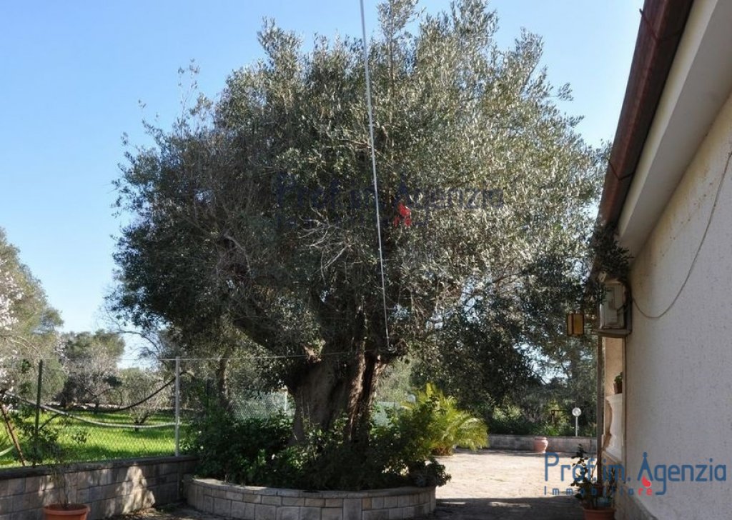 Sale Country houses Carovigno - Villa in the countryside of Carovigno Locality Agro di Carovigno