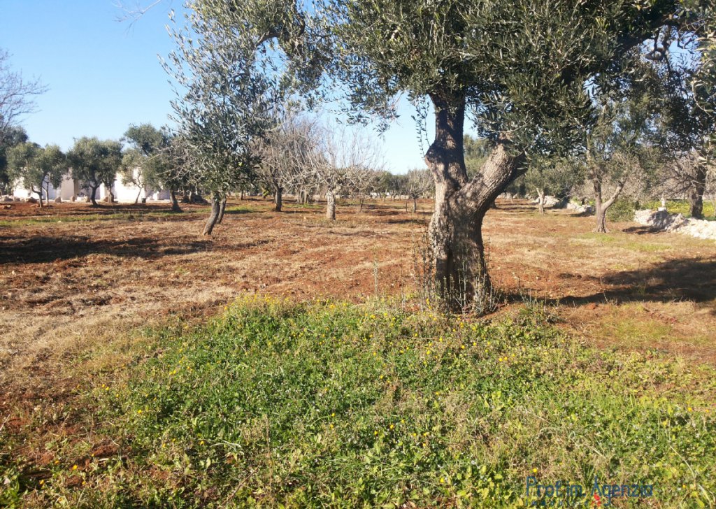 Sale Plots of land Carovigno - Plot of land Locality Agro di Carovigno