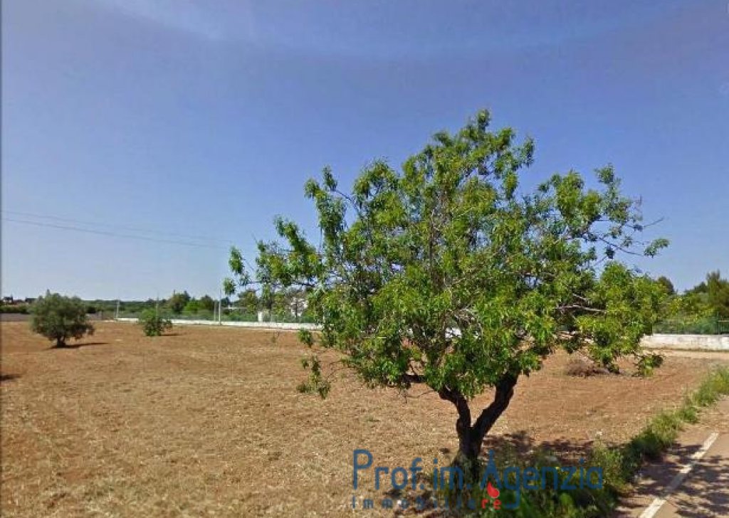 Sale Plots of land Carovigno - Beautiful plot of land cultivated with olive grove and almond trees Locality Agro di Carovigno