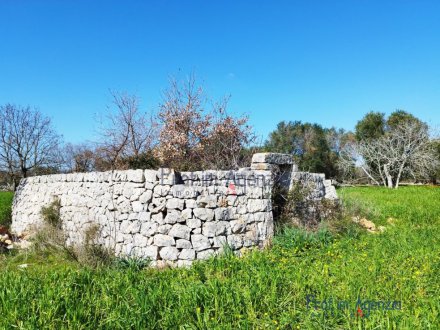 Lamia for renovation in the countryside of Carovigno