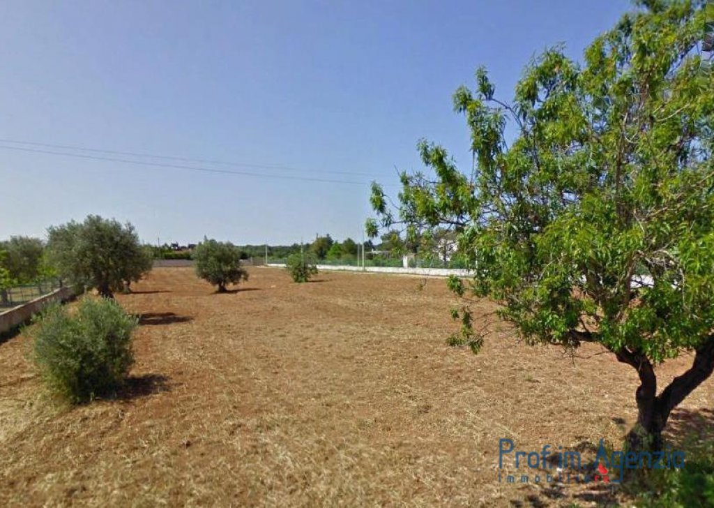 Sale Plots of land Carovigno - Beautiful plot of land cultivated with olive grove and almond trees Locality Agro di Carovigno