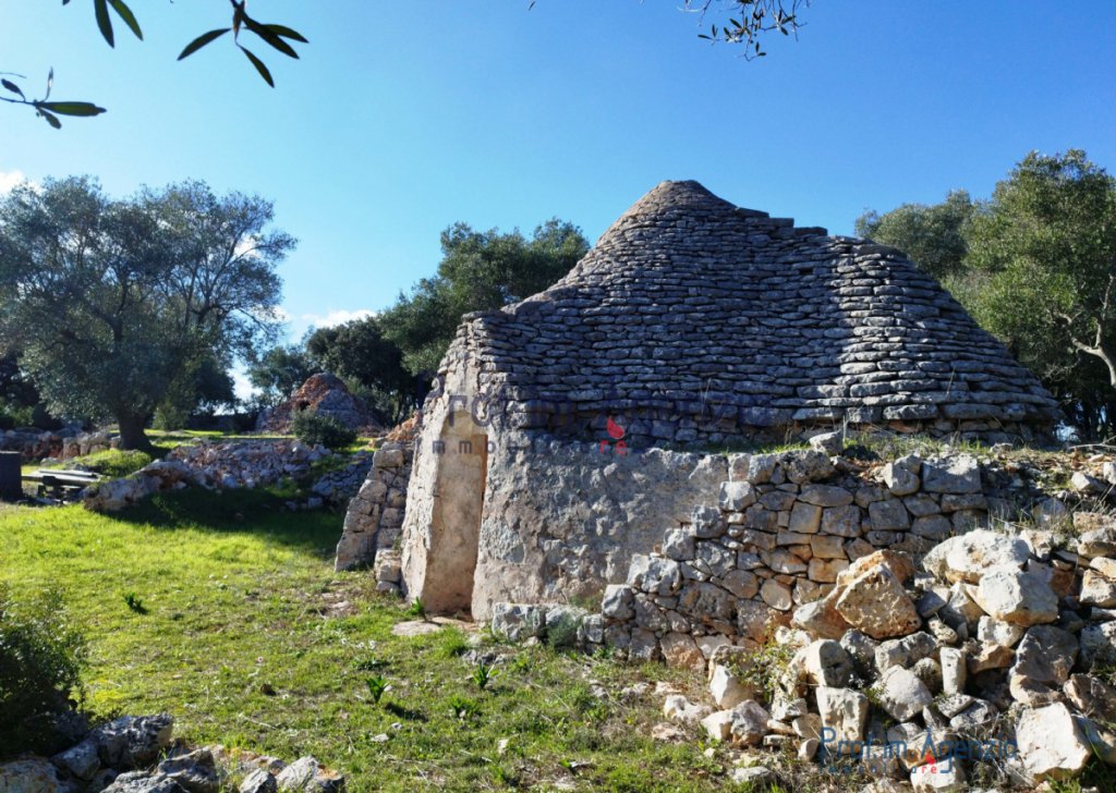 Sale Trulli to be restored/expanded Ostuni - Panoramic trullo in Ostuni Locality Agro di Ostuni