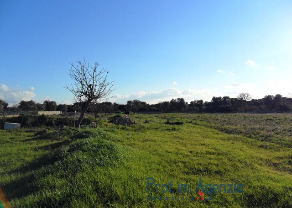 Sale Plots with building permit  Carovigno - Large plot of land cultivable with approved project Locality Agro di Carovigno