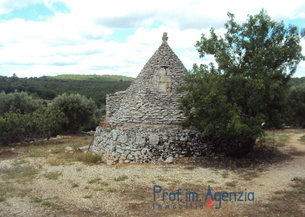 Sale Trulli to be restored/expanded Ceglie Messapica - Beautiful trullo located on a panoramic land  Locality Agro di Ceglie Messapica