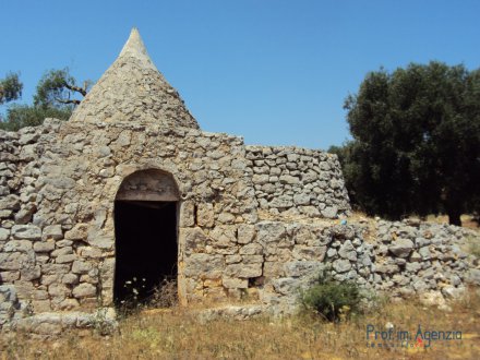 Beautiful trullo sited on a large plot of land with old-centuries olive groves