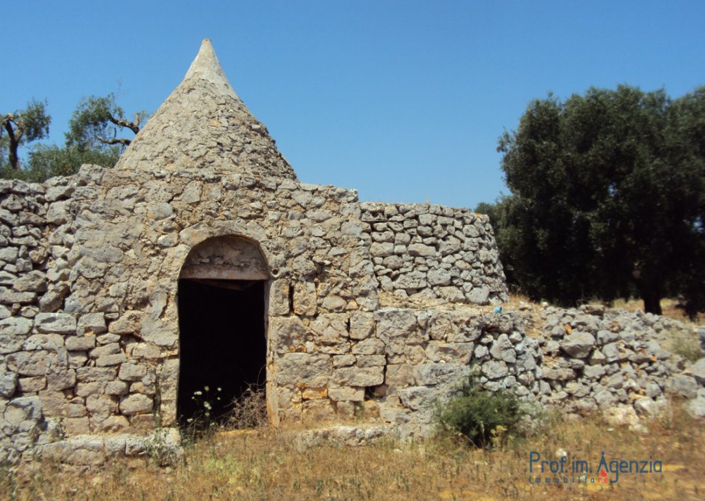Sale Trulli to be restored/expanded San Michele S. - Beautiful trullo sited on a large plot of land with old-centuries olive groves Locality Agro di San Michele Salentino