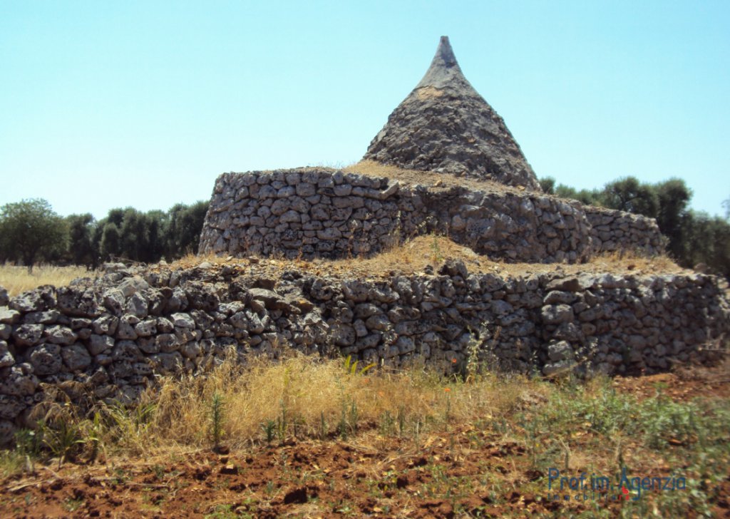 Sale Trulli to be restored/expanded San Michele S. - Beautiful trullo sited on a large plot of land with old-centuries olive groves Locality Agro di San Michele Salentino