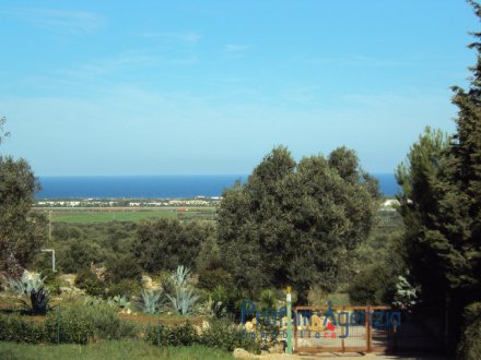 Wonderful Plot of Land sea view with olive grove