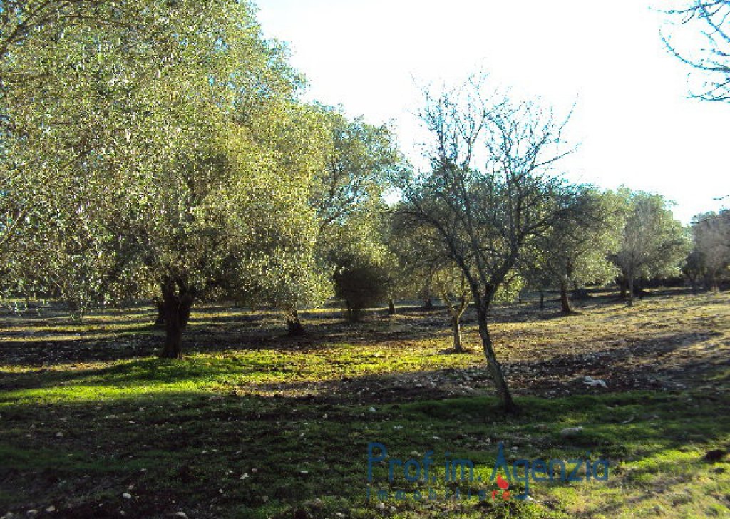 Sale Cottages Carovigno - Lamia one-room on an enchanting land Locality Agro di Carovigno