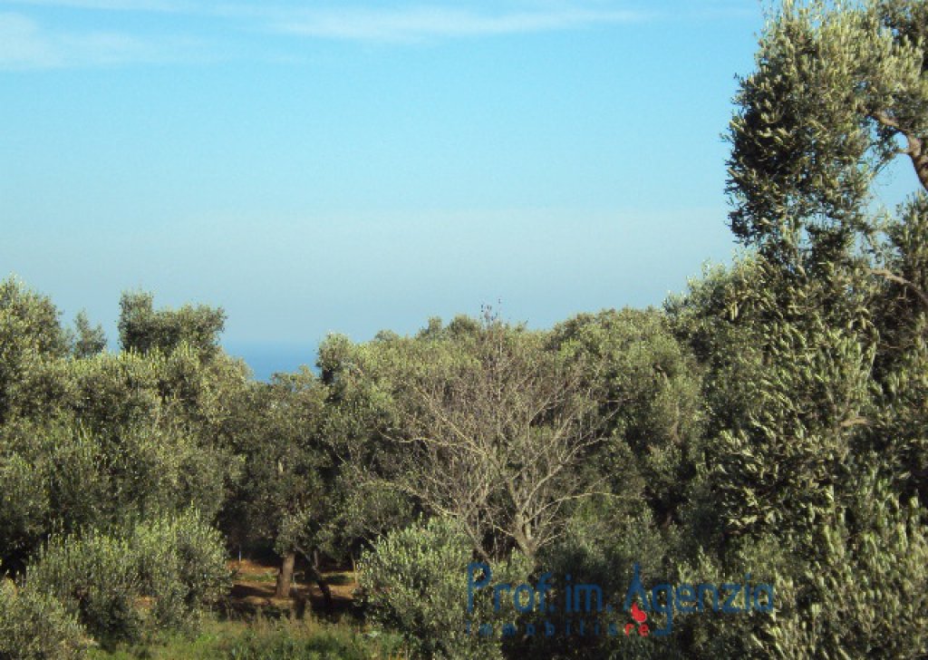 Sale Sea view plots of land Carovigno - Enchanting Plot of Land with sea view Locality Agro di Carovigno