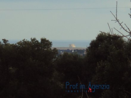 Meraviglioso Terreno con uliveti secolari, mandorleto e strepitosa vista mare su Torre Guaceto