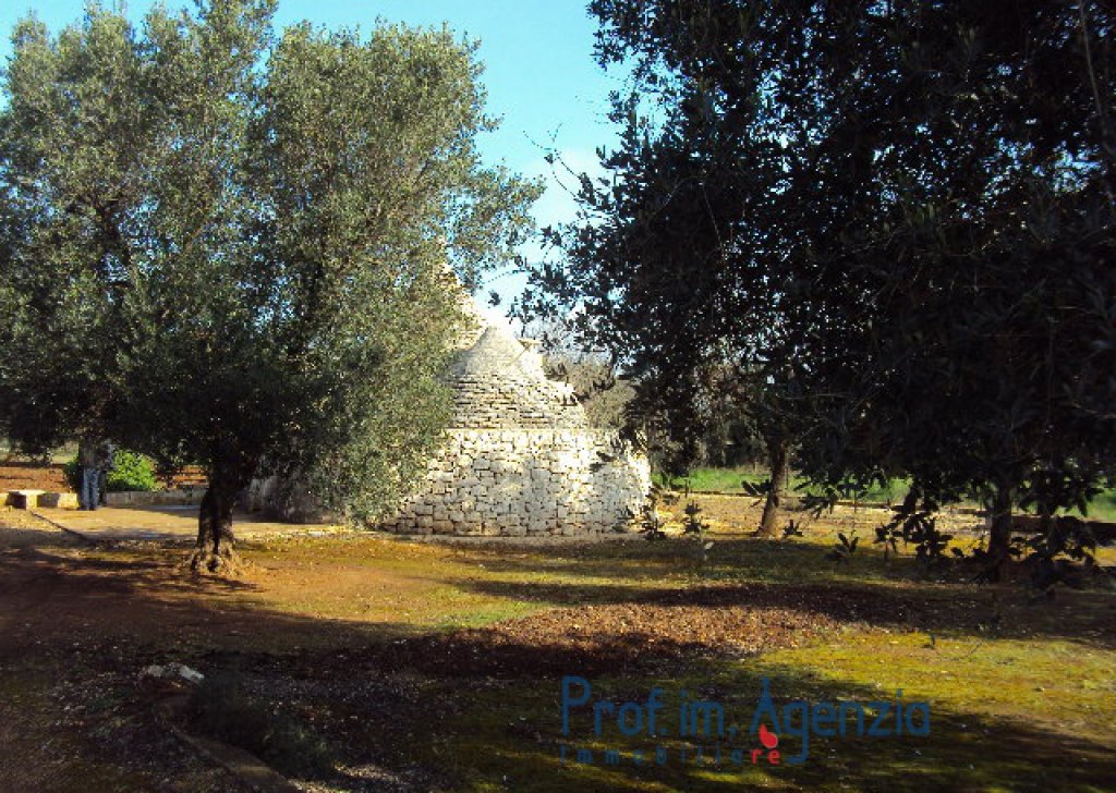 Sale Trulli to be restored/expanded Ceglie Messapica - Beautiful trullo with 3 cones, with tank and service area Locality Agro di Ceglie Messapica