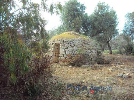 Beautiful land with Saracen Trullo in stone 