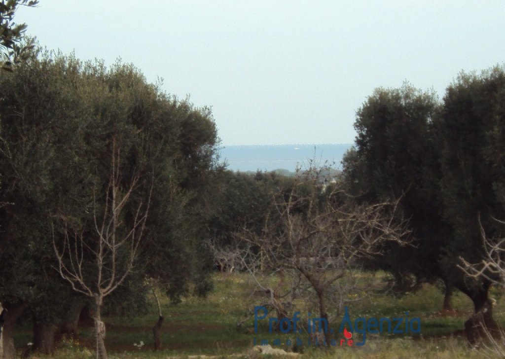 Sale Sea view plots of land Carovigno - Plot of land on a magnificent sea view Locality Agro di Carovigno