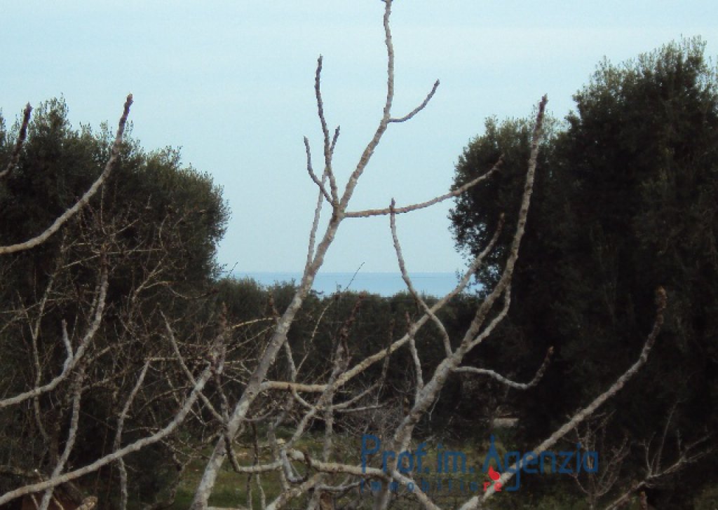 Vendita Terreni vista mare Carovigno - Terreno su magnifica vista mare Località Agro di Carovigno