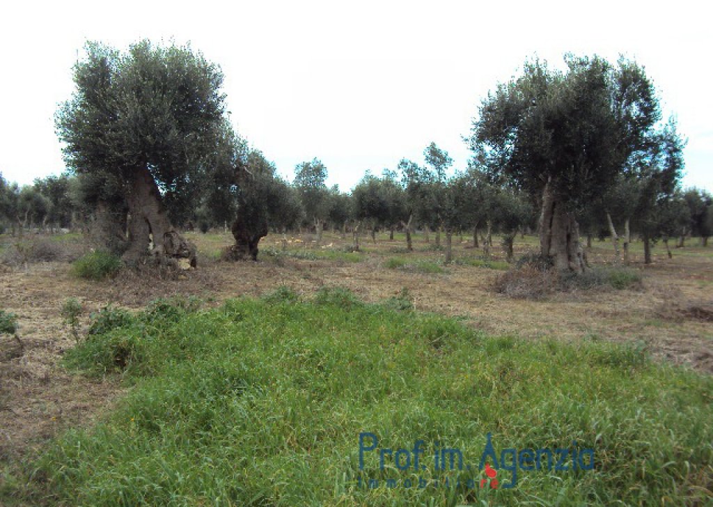 Sale Plots of land Carovigno - Hill panoramic land  Locality Agro di Carovigno