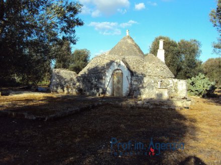 Beutiful trullo with 3 cones, in excellent structural condition on a magnificent olive grove