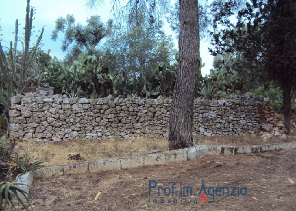 Sale Trulli to be restored/expanded San Michele S. - Pretty Trullo on a plot of land of olive grove, orchard and almond trees Locality Agro di San Michele Salentino