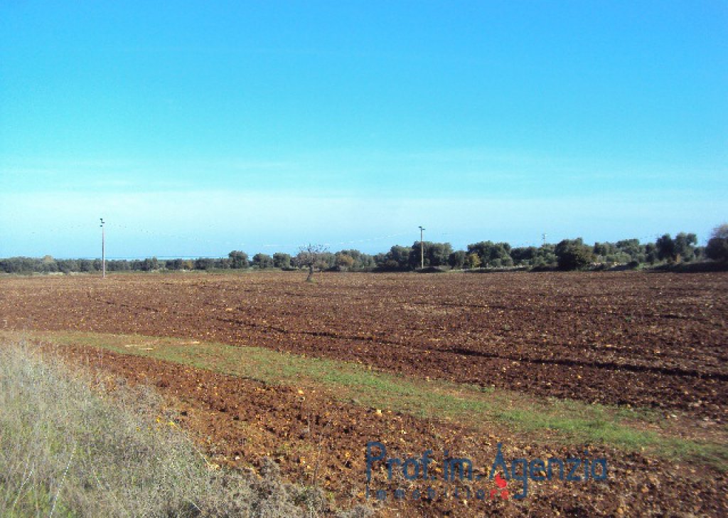 Sale Sea view plots of land Carovigno - Wide land with sea view at only 2 km to the beach Locality Agro di Carovigno