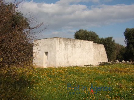 Interesting lamia located on a wide land cultivated with old-centuries olive groves