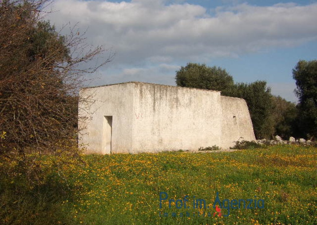 Sale Cottages - Lamia-houses Carovigno - Interesting lamia located on a wide land cultivated with old-centuries olive groves Locality Agro di Carovigno