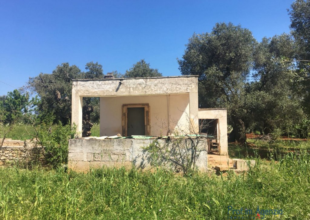 Sale Cottages - Lamia-houses Carovigno - Rough construction of lamia  Locality Agro di Carovigno