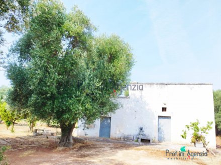 Farmhouse in the countryside of Ostuni