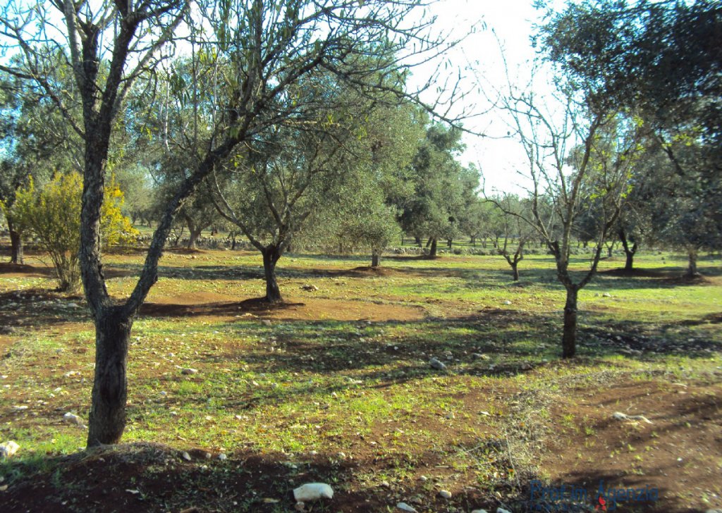 Sale Cottages Carovigno - Lamia one-room on an enchanting land Locality Agro di Carovigno