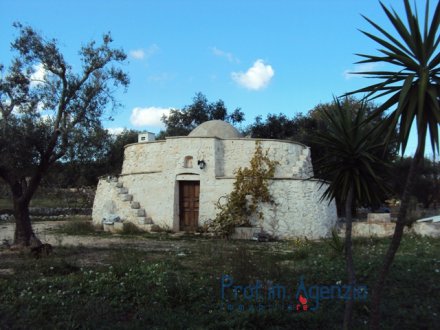 Pretty Trullo sited between the olive grove